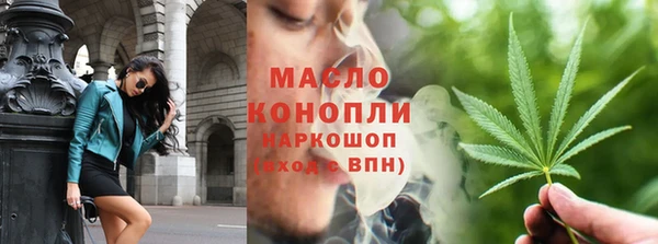 мдпв Бородино