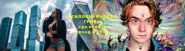 мдпв Бородино