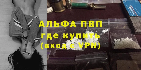 мдпв Бородино