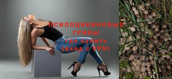 хмурый Бронницы