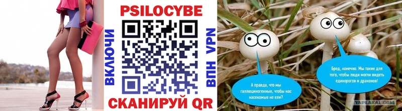 Галлюциногенные грибы Cubensis  дарнет шоп  Киржач 